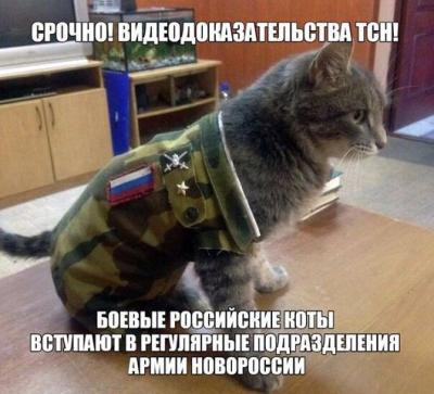 Прикрепленное изображение: yu6eFY3FgdM.jpg